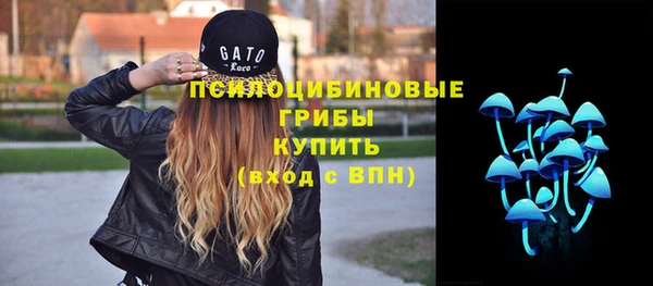 молекула духа Нея