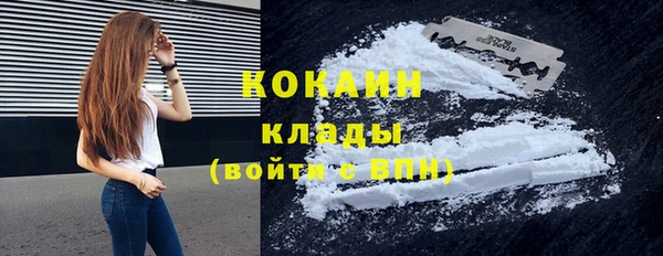 дмт Новозыбков
