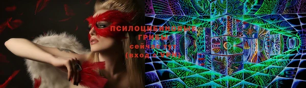 соль ск Нефтекумск