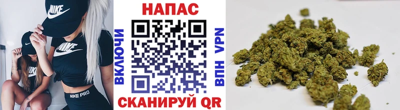 Шишки марихуана Amnesia Новопавловск